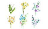 Fototapeta Sypialnia - Spring Flowers Growth Vector Set. Colorful Garden and Wild Plants Growing in Spring