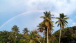 Rainbow over palm trees on crash boat beach Aguadilla Puerto Rico