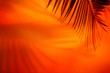 © Natalie - Shadow of palm tree leaves in yellow red lush lava colors