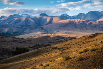 Wall Mural - Evening in the Kurai steppe. Autumn in the Altai mountains. Russia