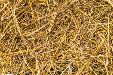 background of dry straw