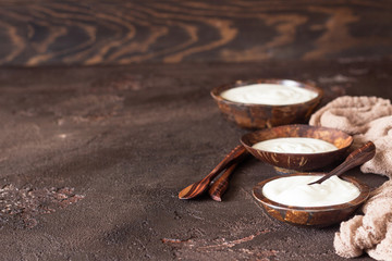 Natural homemade organic yogurt in coconut shell bowls on a slate background. Fresh and natural fermented milk product.