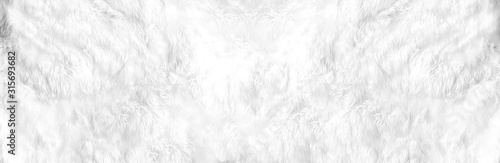Fotografía Closeup animal white wool sheep panoramic background in top view light, wide grey fluffy seamless cotton texture