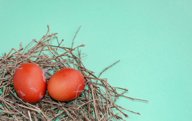 Traditional Easter eggs in the nest dyed using onion skins and mimosa flowers on blue background. Top view with copy space.