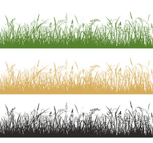 Grass And Meadow Plants Silhouette Illustrations Set
