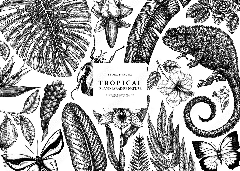 Tropical banner design. Vector frame with hand drawn tropical plants, exotic flowers, palm leaves, insects and chameleon. Vintage wildlife background. Summer template with tropical plants and animals. - obrazy, fototapety, plakaty 