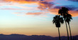 © John Chandler Media - Wide angle banner shape view of beautiful California sunset showing three palm trees silhouetted against colorful sky