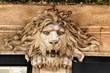 Typical portuguese facade with lion carved in stone