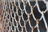 Fototapeta Dmuchawce - chain link fence