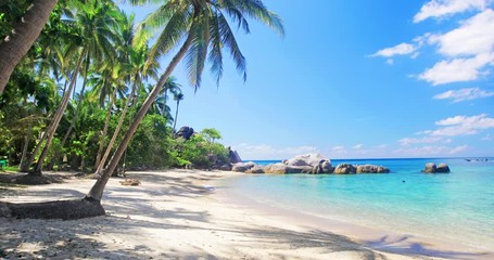 Wall Mural - beach and coconut palm trees. koh tao, thailand