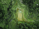 Fototapeta  - Birds eye view of green rugged hilly topography 