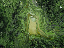 Birds Eye View Of Green Rugged Hilly Topography 