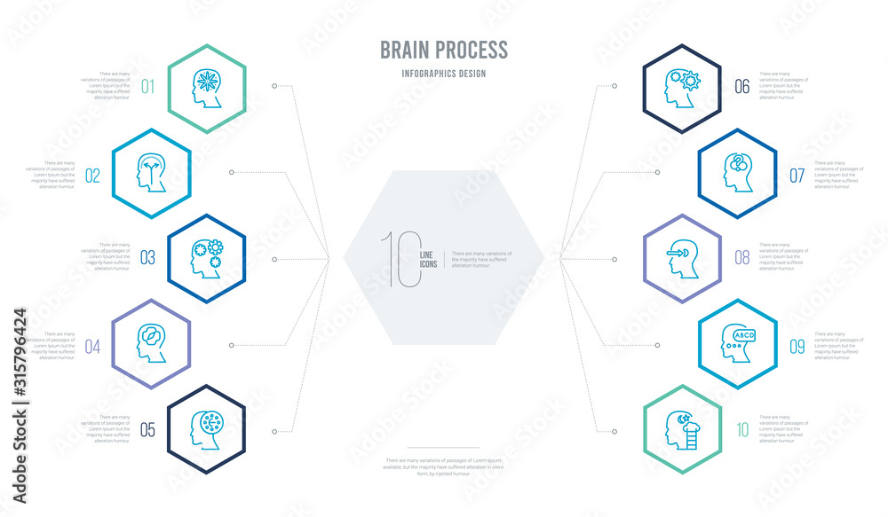 brain process concept business infographic design with 10 hexagon ...