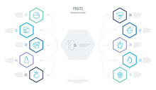 Fruits Concept Business Infographic Design With 10 Hexagon Options. Outline Icons Such As Grape, Plum, Bell Pepper, Acorn, Broccoli, Rose Apple