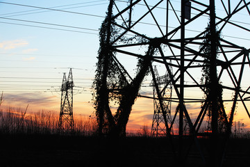 the pylon in the evening