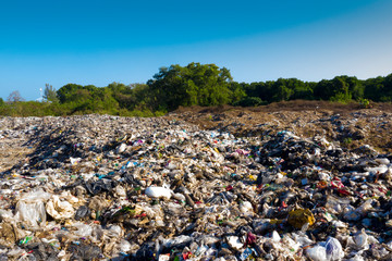 Canvas Print - Plastic pollution in a landfill garbage dump