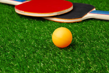 Wall Mural - Ping pong rackets and ball on grass