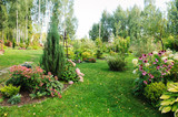 summer garden view with blooming perennials, Hydrangea paniculata, conifers, hostas. Cottage garden style