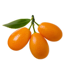 Wall Mural - Ripe orange kumquat fruit on branch with green leaves isolated on white background