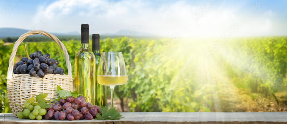 Colorful grapes in basket, white wine - obrazy, fototapety, plakaty 