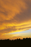 Fototapeta  - Beautiful landscape, golden sky at sunset