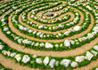 labyrinth at a meadow