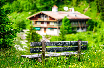 Wall Mural - wooden parkbench