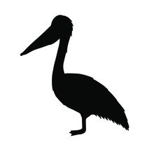 Vector Black Pelican Silhouette Isolated On White Background