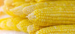Grains of ripe corn. close up corn in sun light.