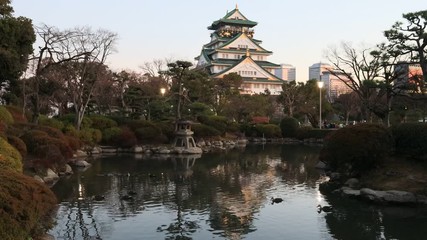 Wall Mural - Still pond with ducks and birds in public garden around Osaka shogun castle at sunrise. Main keep of historic castle rising above trees and surrounding landscape.