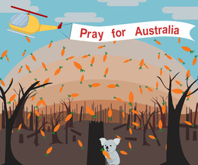 Helicopters scatter food for animals. Pray for Australia, save Australia, save animals, save forest. Vector illustration.