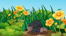 Scene With Mole In The Garden
