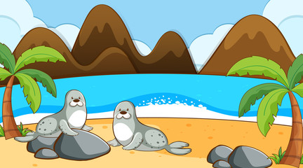 Sticker - Seals on the beach