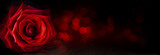  Abstract flower banner with red rose on black background, bokeh lights - Valentines, Mothers day, anniversary concept
