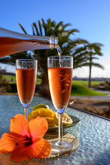 Two glasses of rose bubbles champagne or cava wine served outside on paradise island with palms and green grass