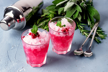 Two Glasses of Cocktail with Cranberry Vodka Mint Blue Background Cold Summer Beverage Shaker