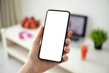female hand holding phone with isolated screen on background room
