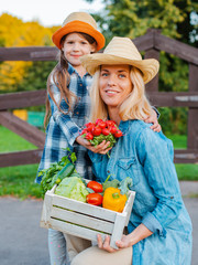 Wall Mural - Children little girl holding mom a basket of fresh organic vegetables with the home garden.