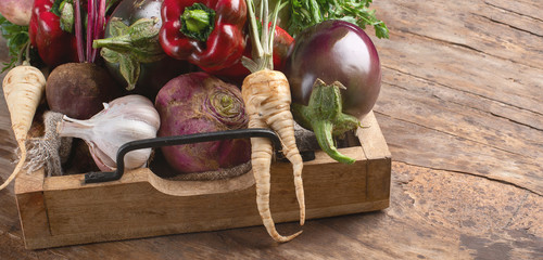 Wall Mural - Fresh harvested vegetables.