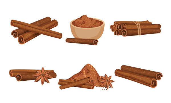 cinnamon sticks and powdered condiment poured in ceramic bowl vector set