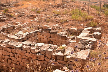 Ancient wall ruins at Mt. Gerizim National Park