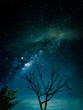 canvas print picture - Milky way galaxy with stars and space in the universe background at thailand