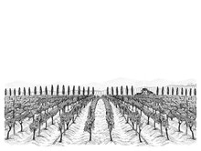 Vineyard Landscape With Building On The Hill, Mountains And Trees Beside. Hand Drawn Sketch Vector Illustration Isolated On White