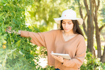 Wall Mural - Young Farmer Using Digital Tablet At Farm