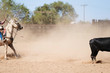 © ccestep8 - Western rodeo roping concept with heeler and calf in outdoor arena, copy space in dust.