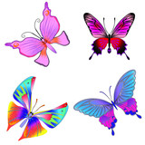 Fototapeta Motyle - Colorful Butterfly Pack, Set of beautiful butterfly with wings, Abstract Wings Color, Abstract animal color pack, isolation butterfly object illustration. Vector