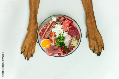 Natural raw dog food in bowl on white floor and dog\'s paws on background. Dog nutrition concept. BARF dog diet.
