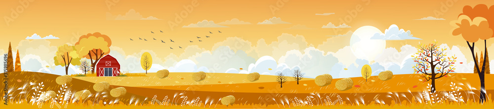 Vector Autumn panorama landscape farm field with orange sky, Beautiful sunset in Autumn countryside panorama view with yellow foliage,Fall season with copy space for banner background - obrazy, fototapety, plakaty 