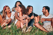 © HBS - Five happy friends spending free time together in park sitting on grass, drinking beer and communicating