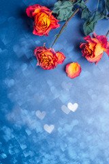 Wall Mural - Dried orange roses, bunch of beautiful faded flowers on blue background with heart bokeh